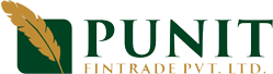 Punit Fin Trade Logo